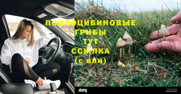 стаф Абдулино