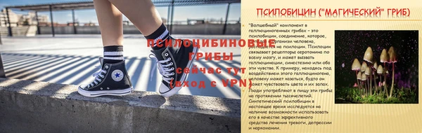стаф Абдулино