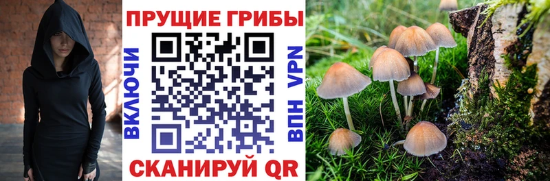 Псилоцибиновые грибы мицелий  Лебедянь 