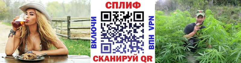 маркетплейс официальный сайт Лебедянь Каннабис семена